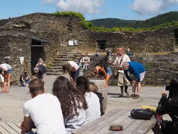 Birds of prey show at Chateau de La Roche-en-Ardenne (Belgium)